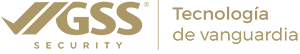 GS Security